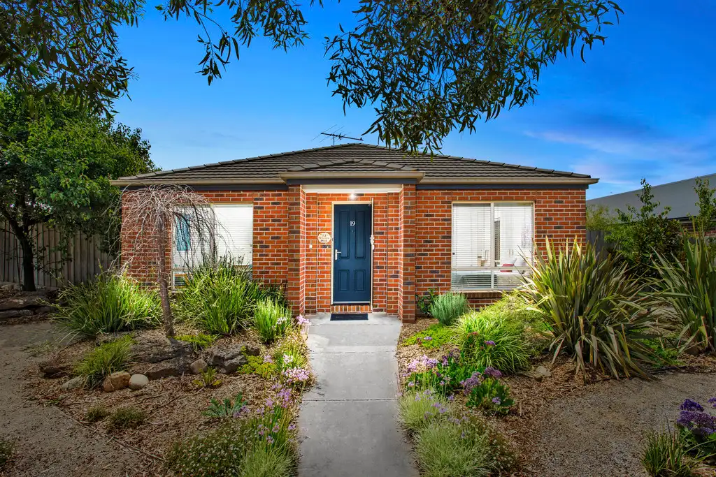 Main view of Homely house listing, 19 Muscovy Drive, Grovedale VIC 3216