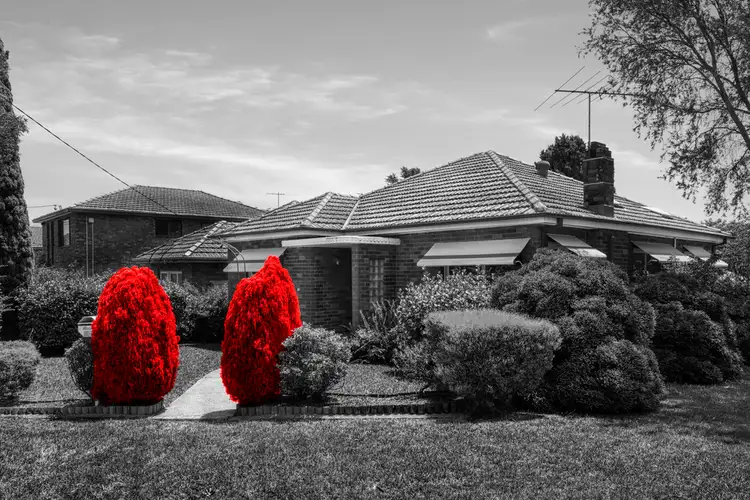 40 Chisholm Avenue, Clemton Park NSW 2206