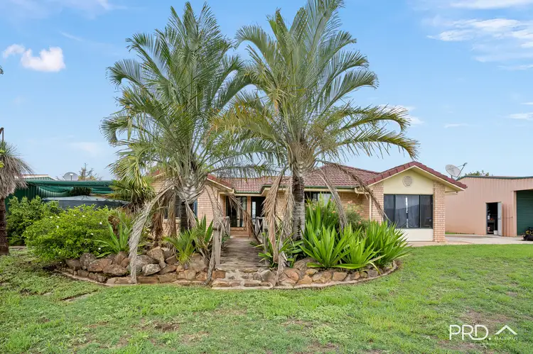Fifth view of Homely rural property listing, 763 Old Cob 'O' Corn Road, Kyogle NSW 2474