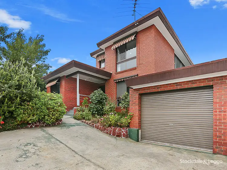 Main view of Homely house listing, 3/17 Jinjella Road, Highton VIC 3216