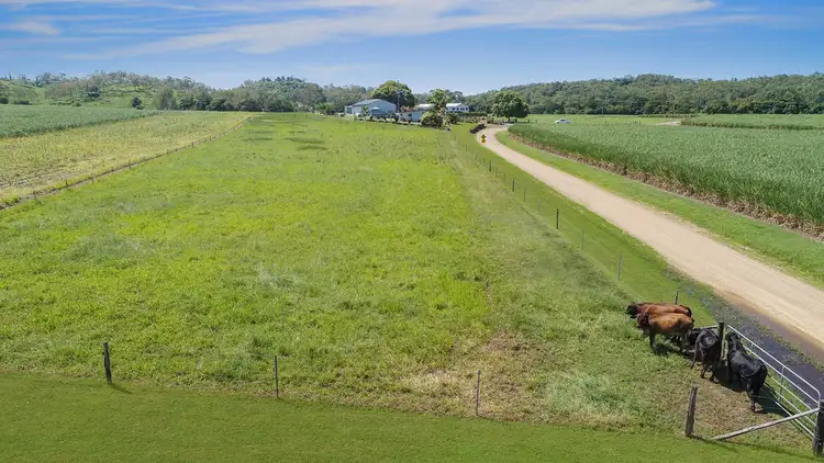 Seventh view of Homely house listing, 30 Moohins Road, Habana QLD 4740