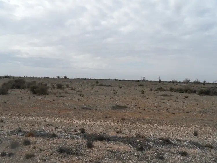 Fifth view of Homely land listing, Section 106 Sturt Highway, Blanchetown SA 5357