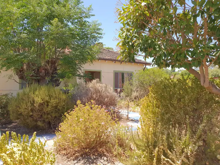 Main view of Homely house listing, 62 Hovea Crescent, Wundowie WA 6560