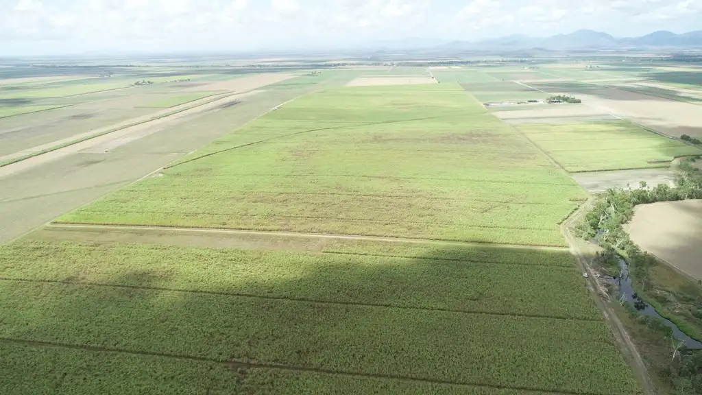 Main view of Homely rural property listing, 50 Wandarra Road, Proserpine QLD 4800