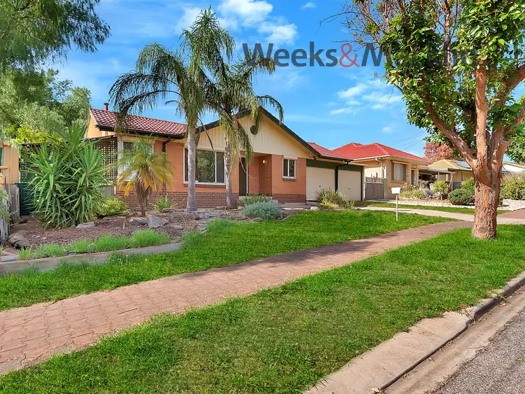 Third view of Homely house listing, 7 Rex Ave, Gilles Plains SA 5086