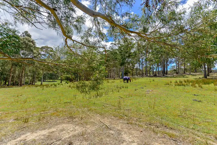 Sixth view of Homely land listing, Lot 1 135 Wolfes Road, Neika TAS 7054