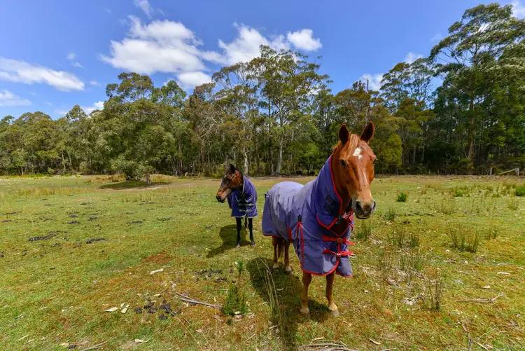 Seventh view of Homely land listing, Lot 1 135 Wolfes Road, Neika TAS 7054