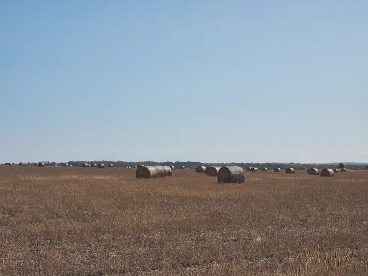Second view of Homely rural property listing, 0 Moffat Lane, Chatsworth VIC 3379