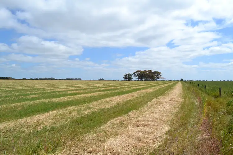 Sixth view of Homely rural property listing, 0 Moffat Lane, Chatsworth VIC 3379