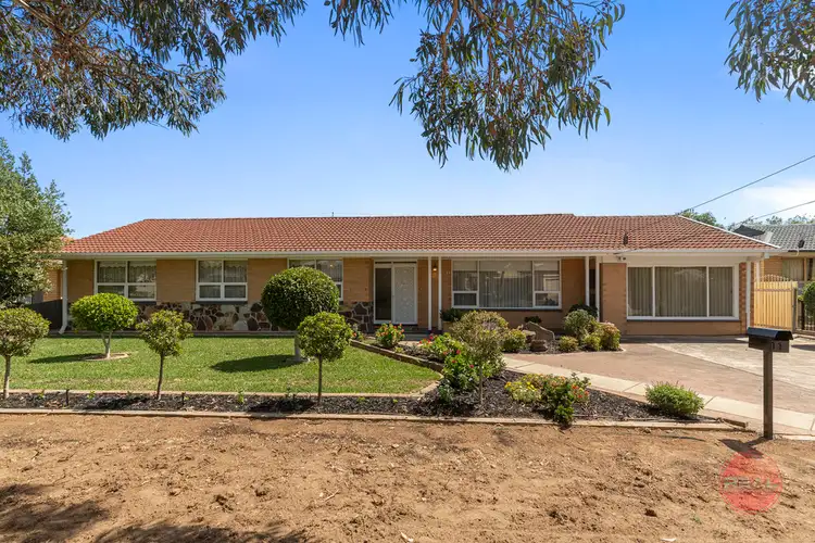 11 Quirke Avenue, Morphettville SA 5043