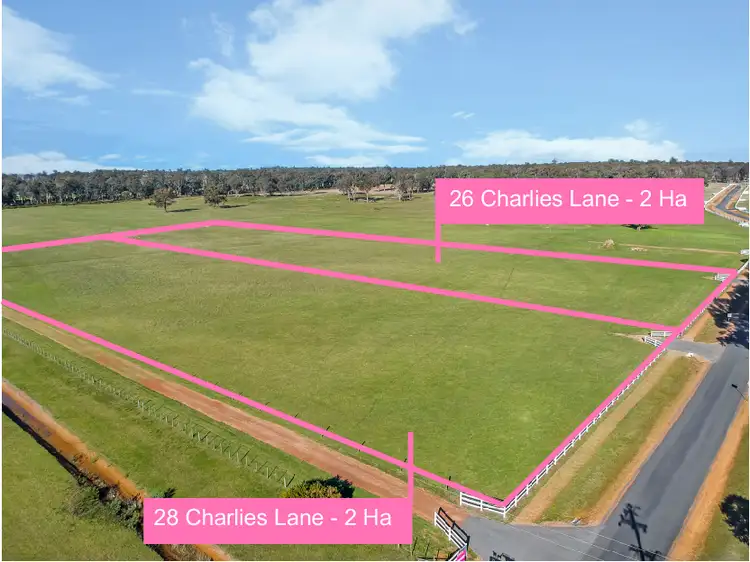 26 Charlies Lane, Carrick TAS 7291