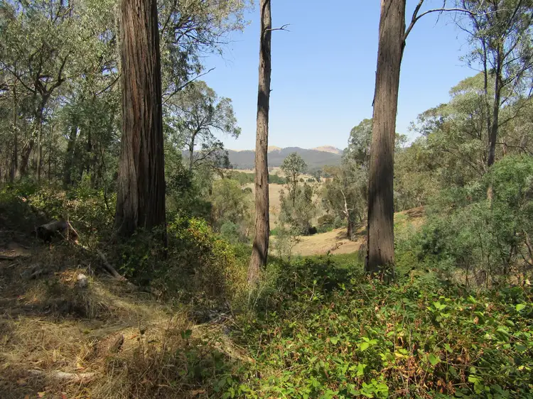 Third view of Homely rural property listing, 1053 Boggy Creek Rd, Myrrhee VIC 3732