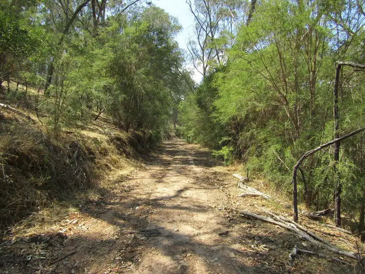 Fourth view of Homely rural property listing, 1053 Boggy Creek Rd, Myrrhee VIC 3732