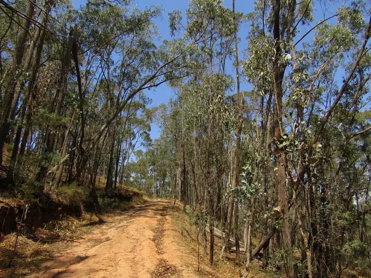 Fifth view of Homely rural property listing, 1053 Boggy Creek Rd, Myrrhee VIC 3732