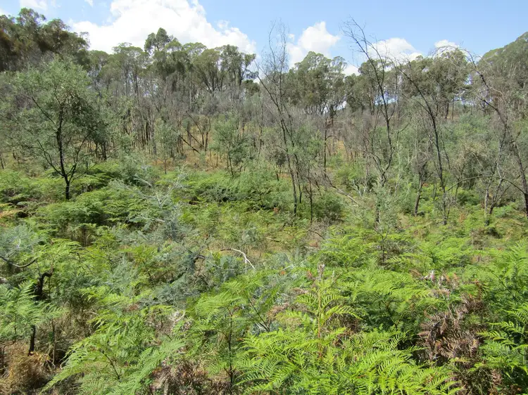 Seventh view of Homely rural property listing, 1053 Boggy Creek Rd, Myrrhee VIC 3732