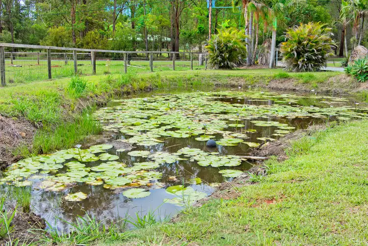Fourth view of Homely house listing, 6 Bellbird Close, Kew NSW 2439