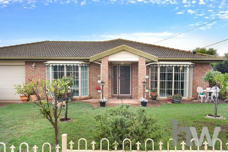 Main view of Homely house listing, 31 Colac Grove, Belmont VIC 3216