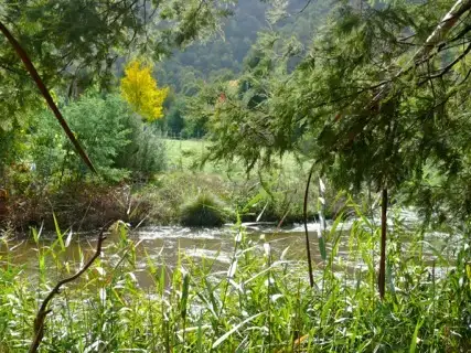 Second view of Homely rural property listing, Address available on request