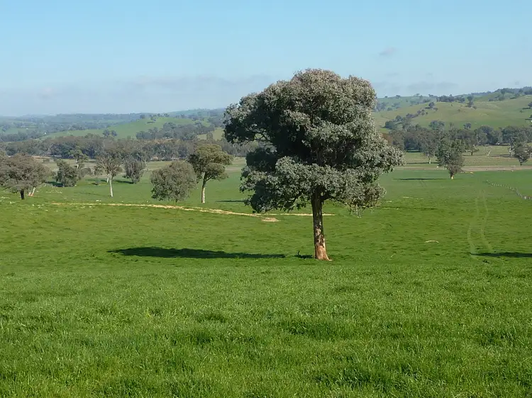 Third view of Homely rural property listing, 750 Humula Road ,Humula, Wagga Wagga NSW 2650