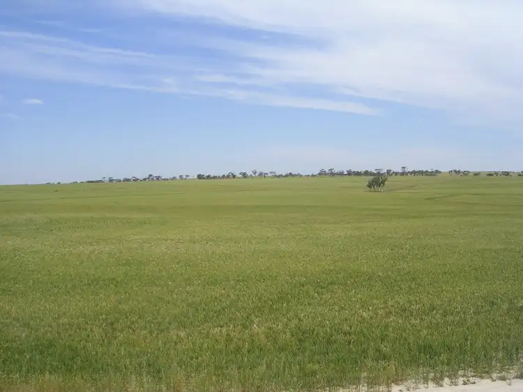 Fifth view of Homely rural property listing, LOCATION 18370 BROWN RD, Kellerberrin WA 6410