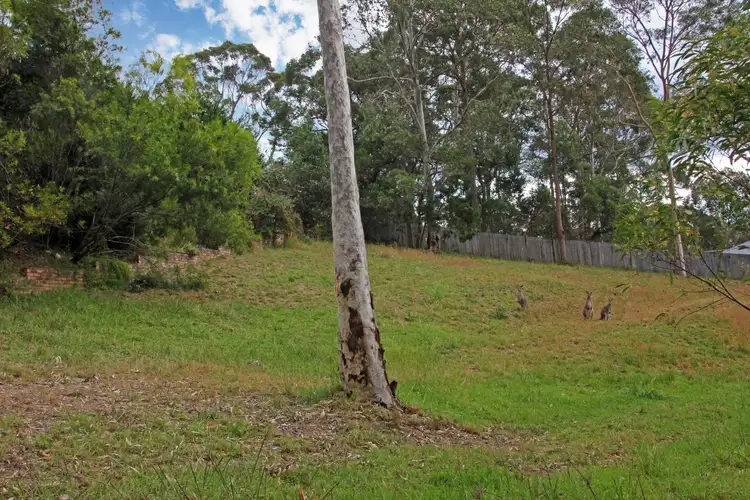 Fourth view of Homely land listing, 14 Bellbird Close, Surfside NSW 2536