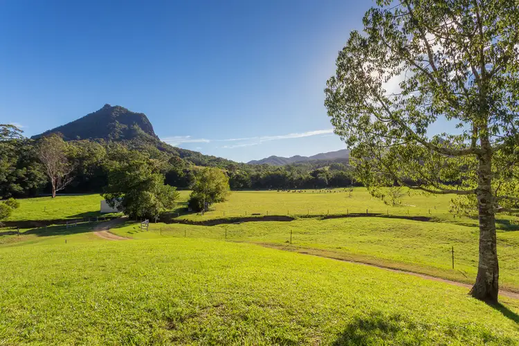Fourth view of Homely rural property listing, 226 Mount Coxcombe Road, Upper Lansdowne NSW 2430