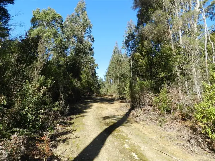 Third view of Homely house listing, 2035 Oldina Road, Yolla TAS 7325