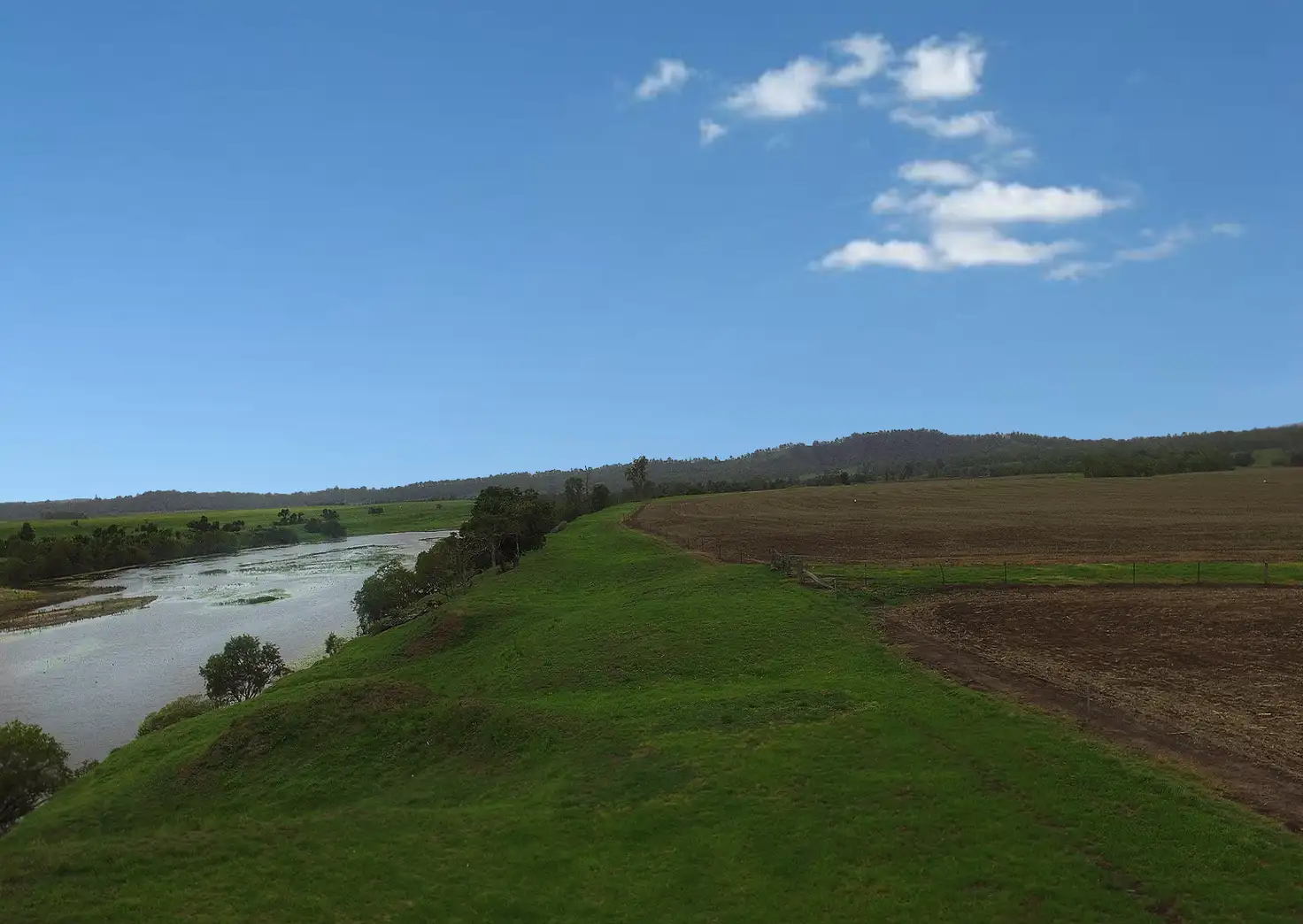 Main view of Homely rural property listing, 1179 Plain Station Road, Tabulam NSW 2469