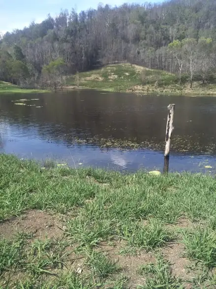 Second view of Homely rural property listing, 220 Berekovens Rd, Upper Pappinbarra NSW 2446