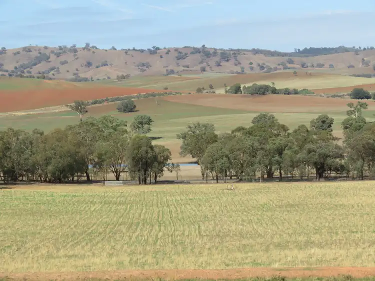 Third view of Homely land listing, Lot 4 Old Hume Highway (Mundarlo Rd), Tumblong NSW 2729