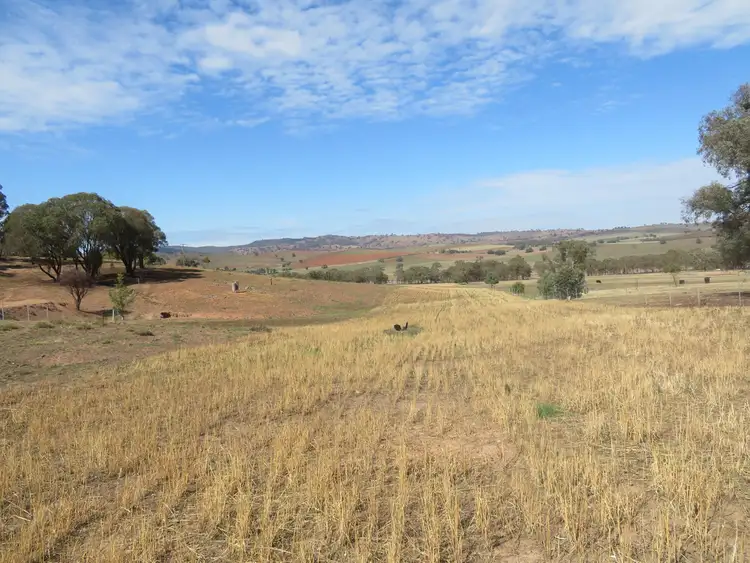 Sixth view of Homely land listing, Lot 4 Old Hume Highway (Mundarlo Rd), Tumblong NSW 2729
