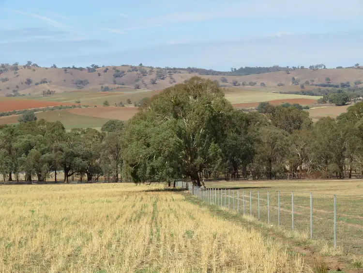 Seventh view of Homely land listing, Lot 4 Old Hume Highway (Mundarlo Rd), Tumblong NSW 2729