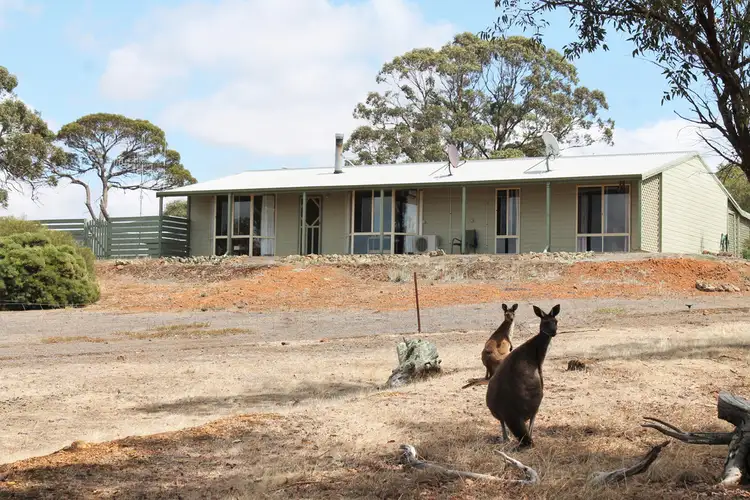 Main view of Homely house listing, 29 Ferry Road, Mount Barker WA 6324
