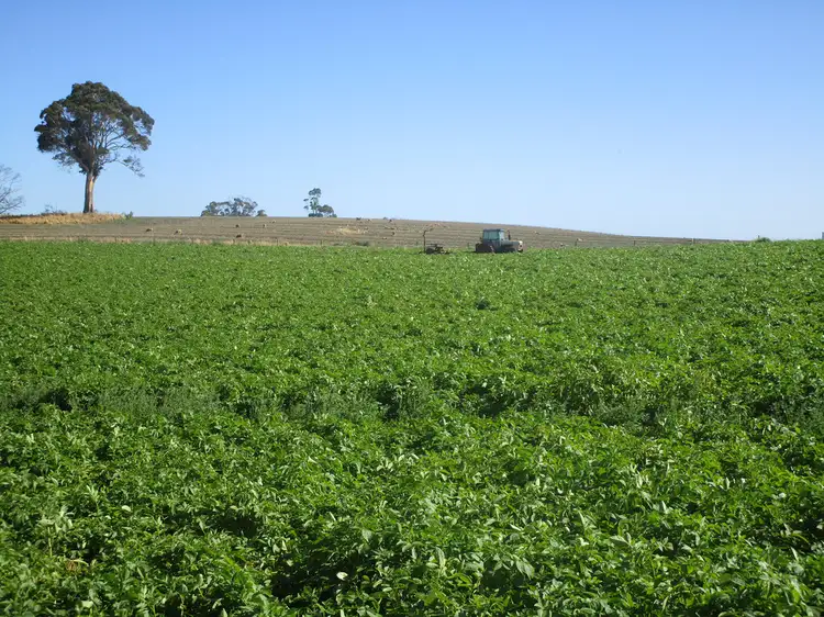 Main view of Homely rural property listing, 569 Clerke Plains Road, Kindred TAS 7310