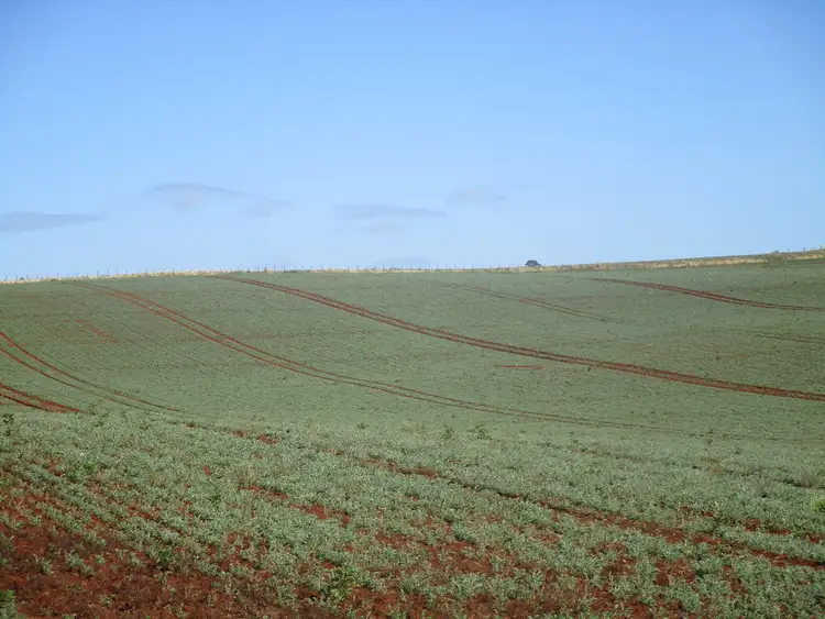 Third view of Homely rural property listing, 569 Clerke Plains Road, Kindred TAS 7310