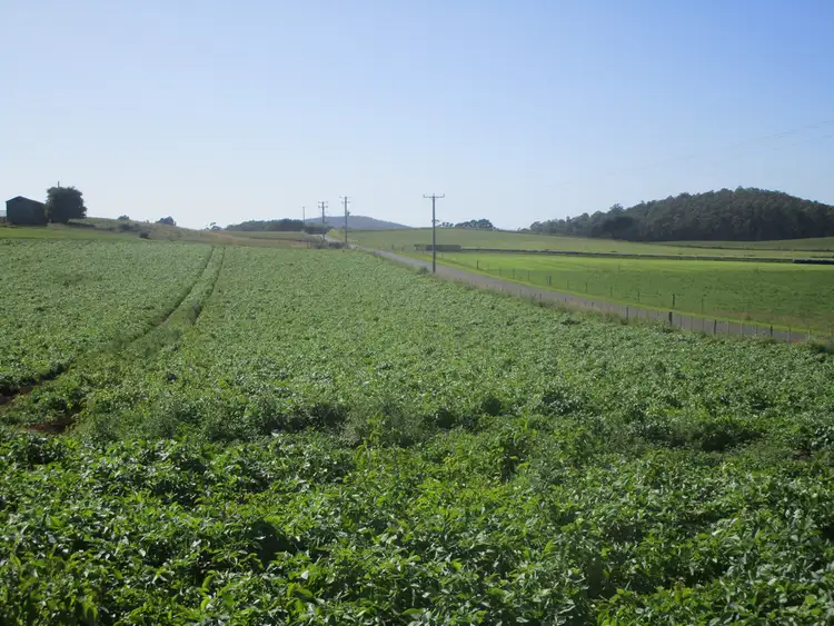 Fourth view of Homely rural property listing, 569 Clerke Plains Road, Kindred TAS 7310