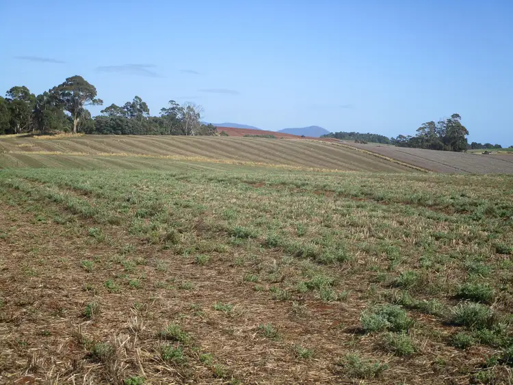 Sixth view of Homely rural property listing, 569 Clerke Plains Road, Kindred TAS 7310
