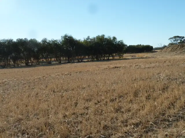 Seventh view of Homely rural property listing, Lot 10517, 6881 & 7640 Jacobs Well Road, Beverley WA 6304