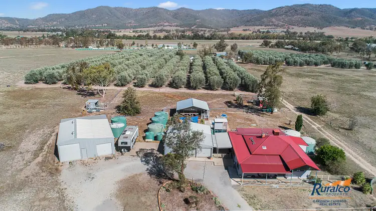 Main view of Homely house listing, 1498 New England Highway, Tamworth NSW 2340