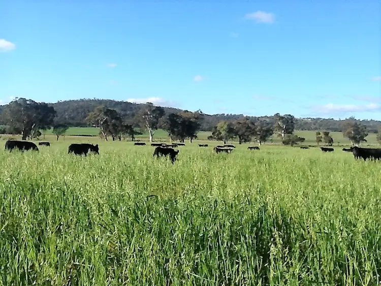 Main view of Homely rural property listing, 53 BUTCHERS ROAD, Dale WA 6304