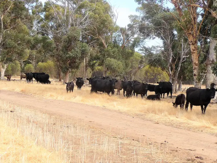 Second view of Homely rural property listing, 53 BUTCHERS ROAD, Dale WA 6304