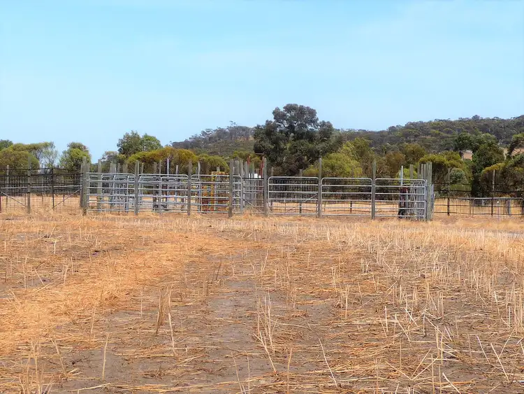 Fourth view of Homely rural property listing, 53 BUTCHERS ROAD, Dale WA 6304