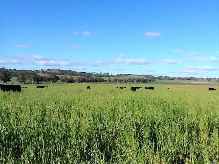 Fifth view of Homely rural property listing, 53 BUTCHERS ROAD, Dale WA 6304
