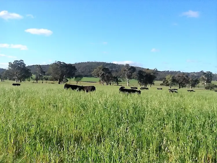 Sixth view of Homely rural property listing, 53 BUTCHERS ROAD, Dale WA 6304