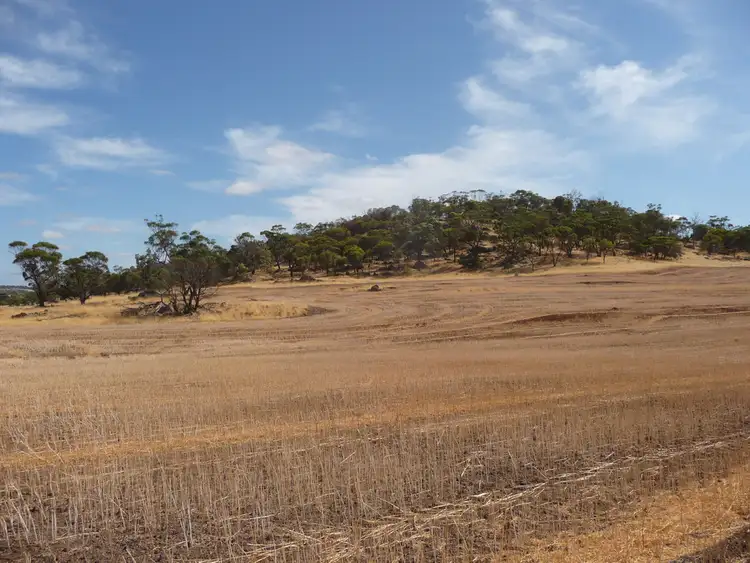 Seventh view of Homely rural property listing, 53 BUTCHERS ROAD, Dale WA 6304