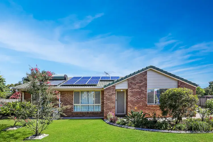 6 Betony Street, Bald Hills QLD 4036