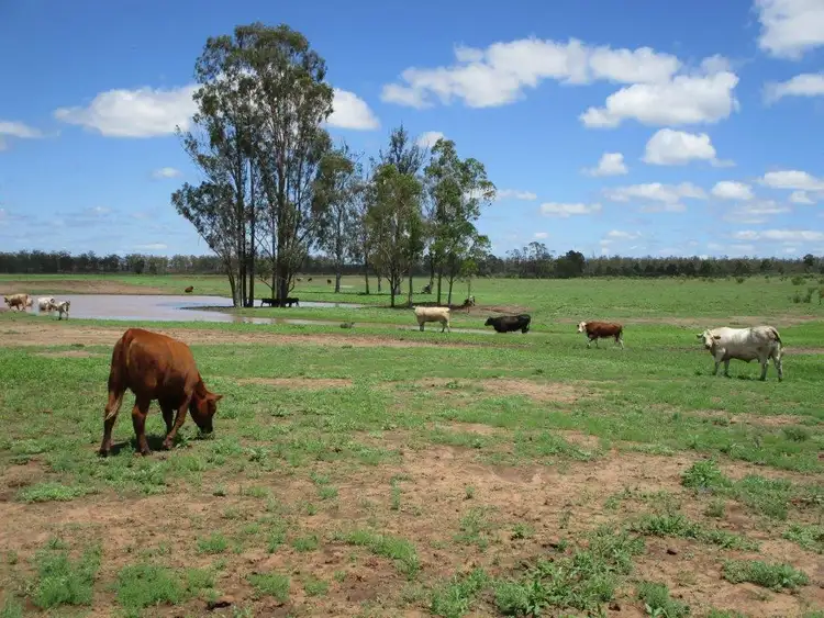 Second view of Homely rural property listing, 2242 ACRES GRAZING & IRRIGATION OPPORTUNITY, Dulacca QLD 4425