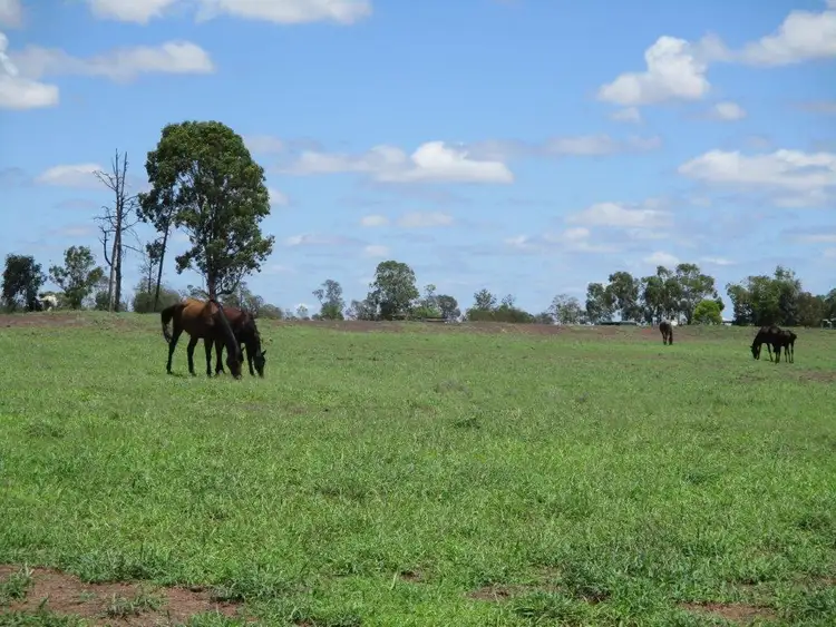Fifth view of Homely rural property listing, 2242 ACRES GRAZING & IRRIGATION OPPORTUNITY, Dulacca QLD 4425