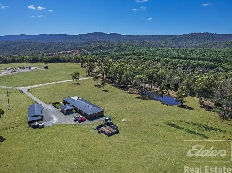 44 East Arm Road, Hillwood TAS 7252