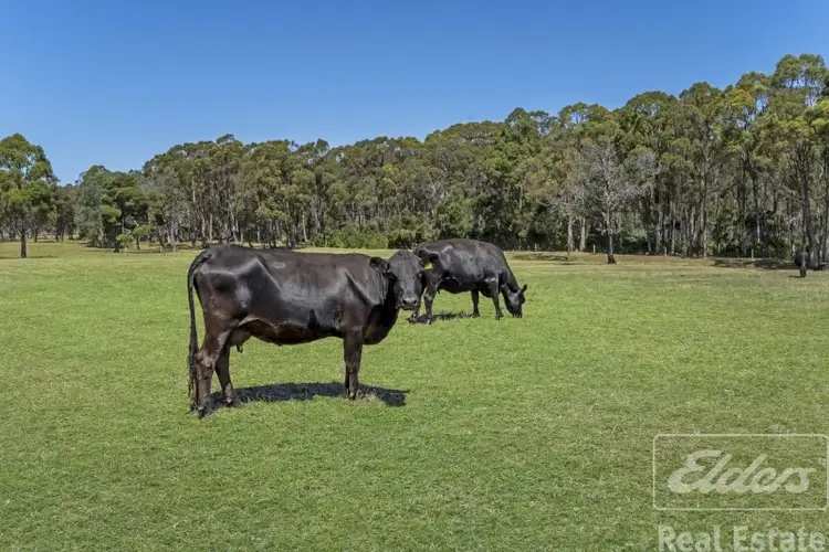 Fourth view of Homely house listing, 44 East Arm Road, Hillwood TAS 7252